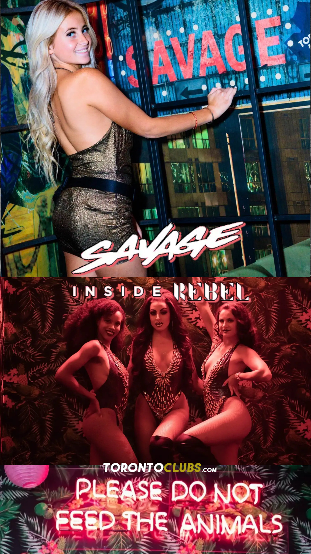 Savage Inside Rebel Toronto Latin Clubs